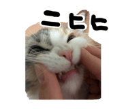 839097221