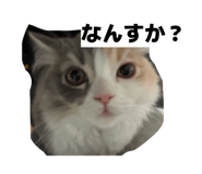839097225