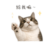 839097250