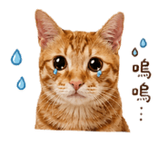 839097319