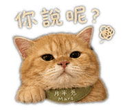 839097436