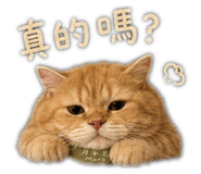 839097437