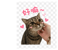 839097538
