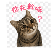 839097540