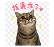839097541