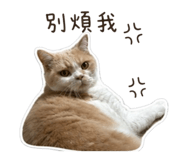 839097627