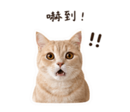 839098715