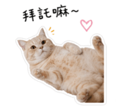 839098726