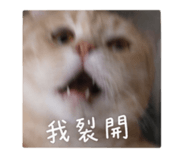 839098727