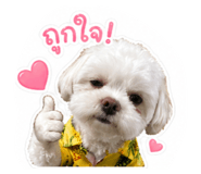839099042