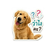 839099842