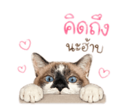 839101019