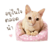 839101111
