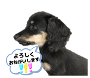 839101260