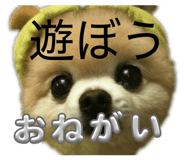 839102105