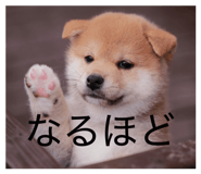 839102113