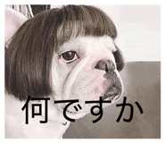 839102119