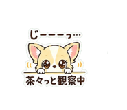 839102353