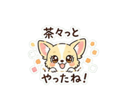 839102355