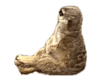 839102787