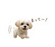 839103260