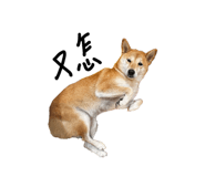 839103482