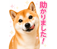 839104242