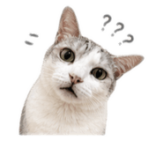 839105136