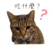 839105469