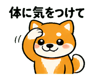 839106977
