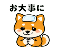 839106978