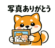 839106982