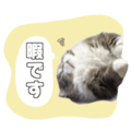 839107778