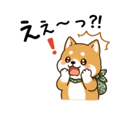 839109155