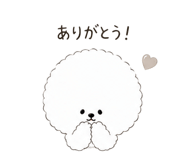839109507