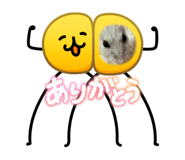 839111371