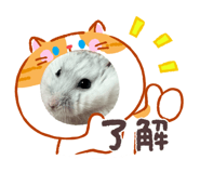 839111372