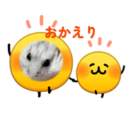 839111373
