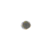 839111505