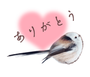 839112065