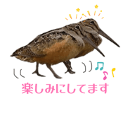 839112069