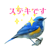 839112086