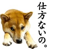 839114690