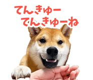 839114691