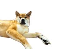 839114692