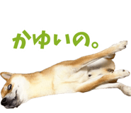 839114694