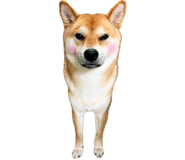 839114696