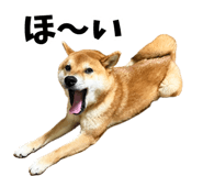 839114699