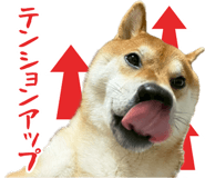 839114702
