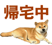 839114706